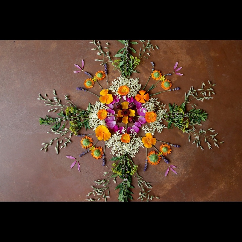 Meet your Posher, Meg